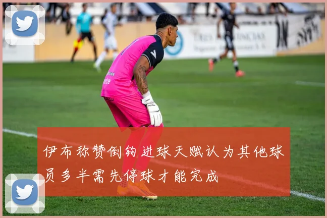 伊布称赞倒钩进球天赋认为其他球员多半需先停球才能完成
