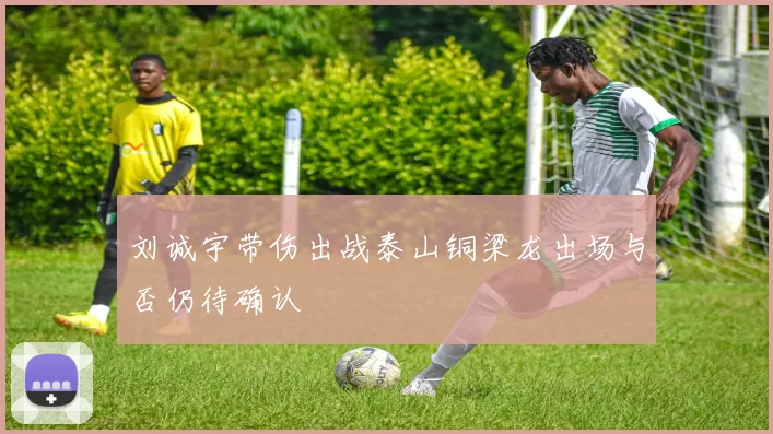 刘诚宇带伤出战泰山铜梁龙出场与否仍待确认