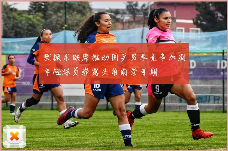 樊振东缺席推动国乒男单竞争加剧年轻球员崭露头角前景可期