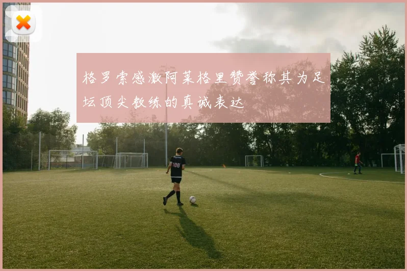 格罗索感激阿莱格里赞誉称其为足坛顶尖教练的真诚表达